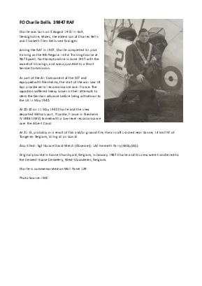 A preview of a PDF biography for Bellis, Charlie